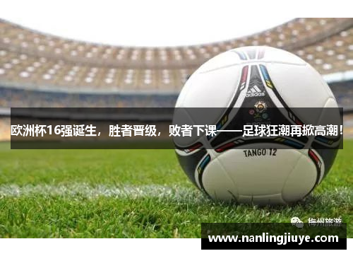 欧洲杯16强诞生，胜者晋级，败者下课——足球狂潮再掀高潮！