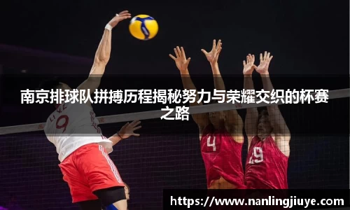 南京排球队拼搏历程揭秘努力与荣耀交织的杯赛之路